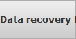 Data recovery for Hutchinson data