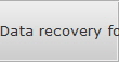 Data recovery for Hutchinson data